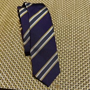 Zara Purple and Gold Striped Tie